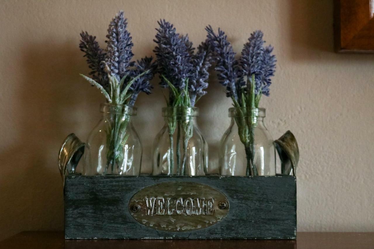 The Hollybush Inn And B&B Priors Marston Extérieur photo